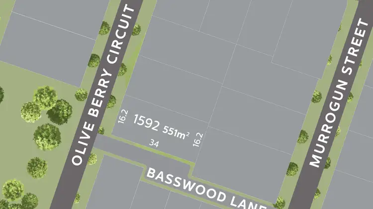 Lot 1592 Olive Berry Circuit, Mount Low QLD 4818