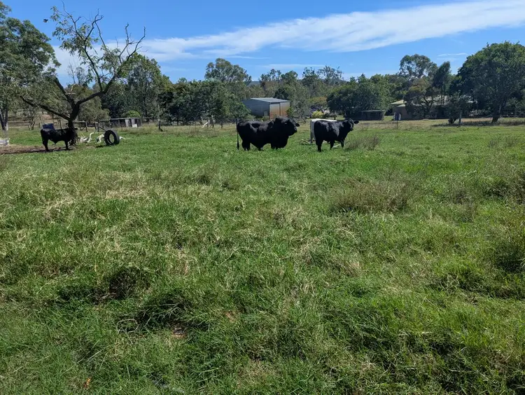 Third view of Homely rural property listing, 45 Huntingdale Crescent, Gatton QLD 4343
