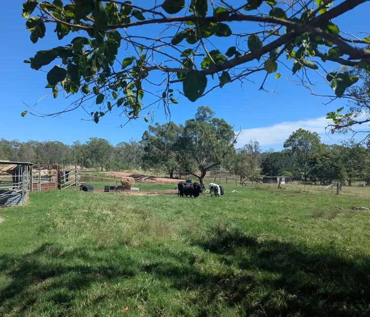 Fourth view of Homely rural property listing, 45 Huntingdale Crescent, Gatton QLD 4343