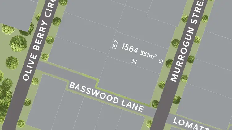 Lot 1584 Murrogun Street, Mount Low QLD 4818