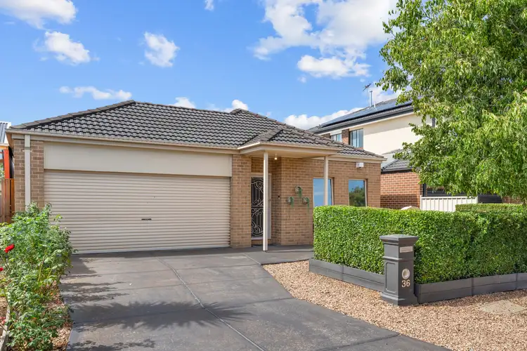 Second view of Homely house listing, 36 Tusmore Rise, Craigieburn VIC 3064