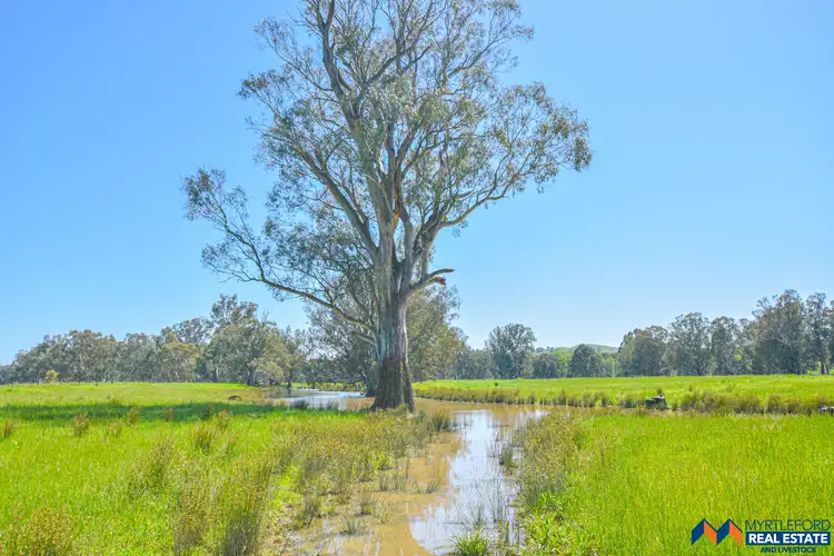 Fifth view of Homely rural property listing, 599-577 Whorouly River Road, Whorouly VIC 3735