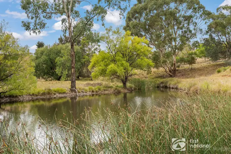 Fifth view of Homely rural property listing, 5833 Ilford Sofala Road, Sofala NSW 2795