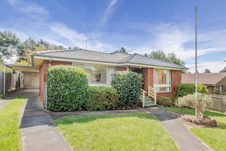 24 Shillington Street