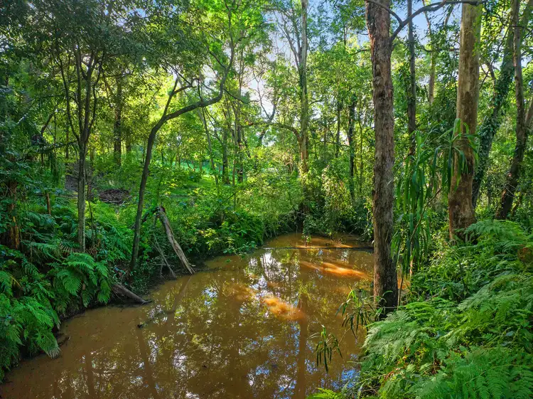 Sixth view of Homely land listing, 305 Ruffles Road, Willow Vale QLD 4209