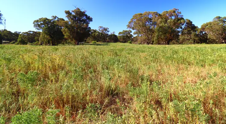 Sixth view of Homely land listing, 54 Outridge Road, Baldivis WA 6171
