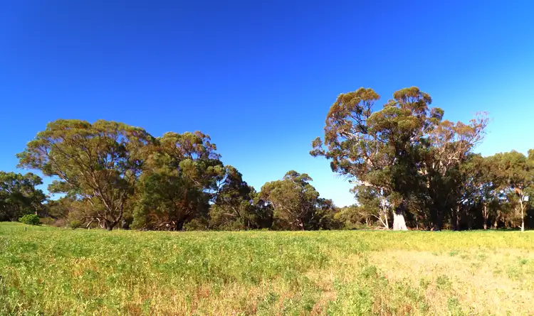 Seventh view of Homely land listing, 54 Outridge Road, Baldivis WA 6171