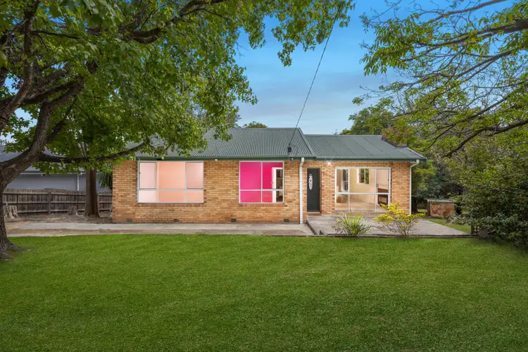 11 McIver Street