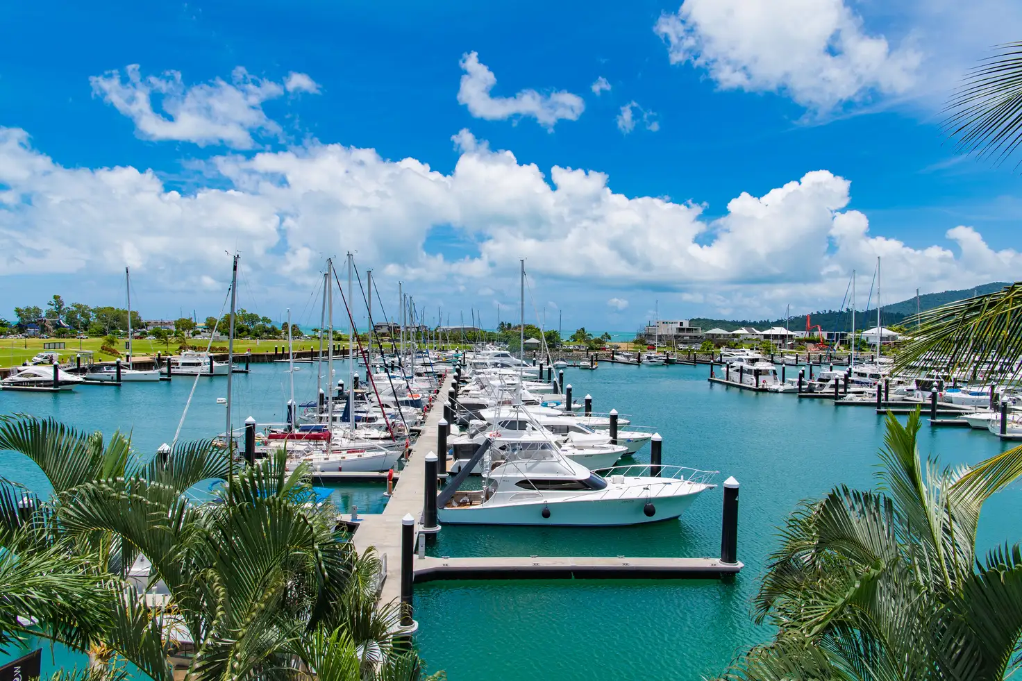 Main view of Homely unit listing, 217/33 Port Drive, Airlie Beach QLD 4802