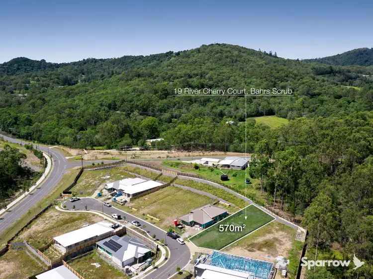 19 River Cherry Court, Bahrs Scrub QLD 4207
