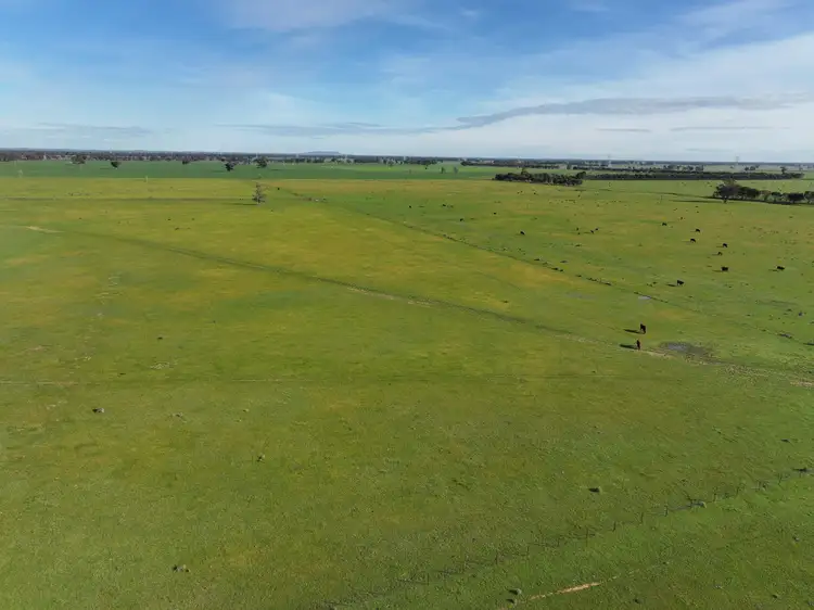 Third view of Homely rural property listing, 'Ferndale' 282 Humphries Lane, The Rock NSW 2655