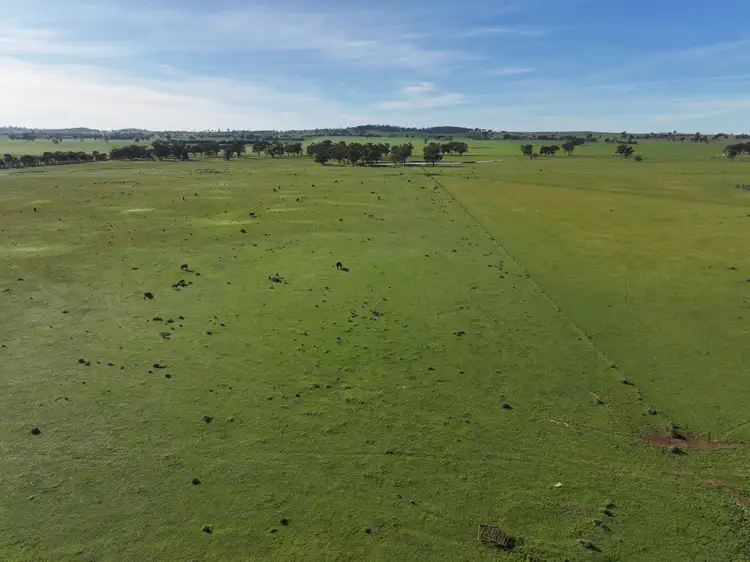 Fifth view of Homely rural property listing, 'Ferndale' 282 Humphries Lane, The Rock NSW 2655