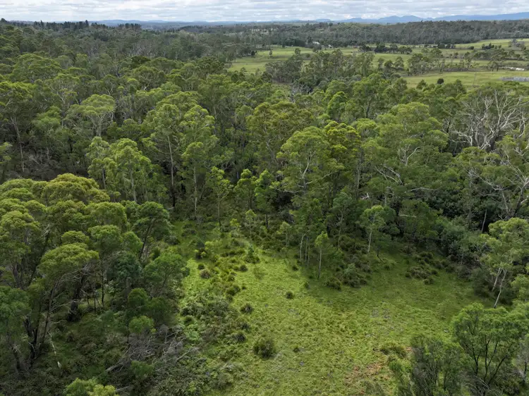 14 Ningee Nimbell Creek Road, Braidwood NSW 2622