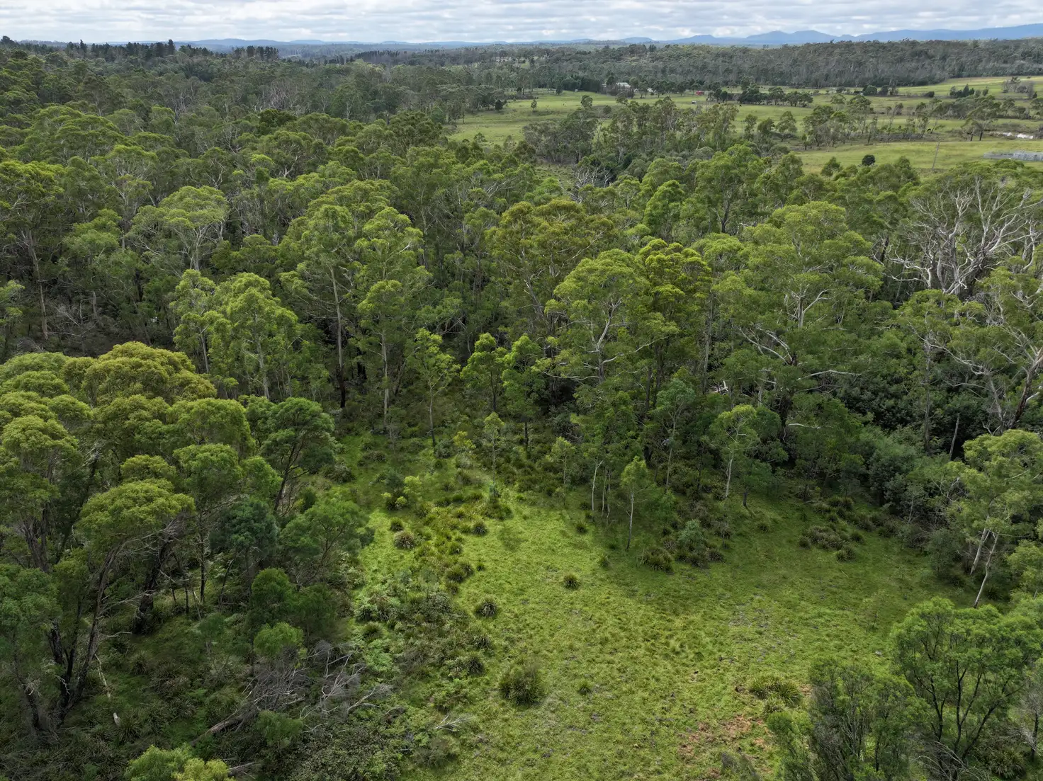 Main view of Homely rural property listing, 14 Ningee Nimbell Creek Road, Braidwood NSW 2622