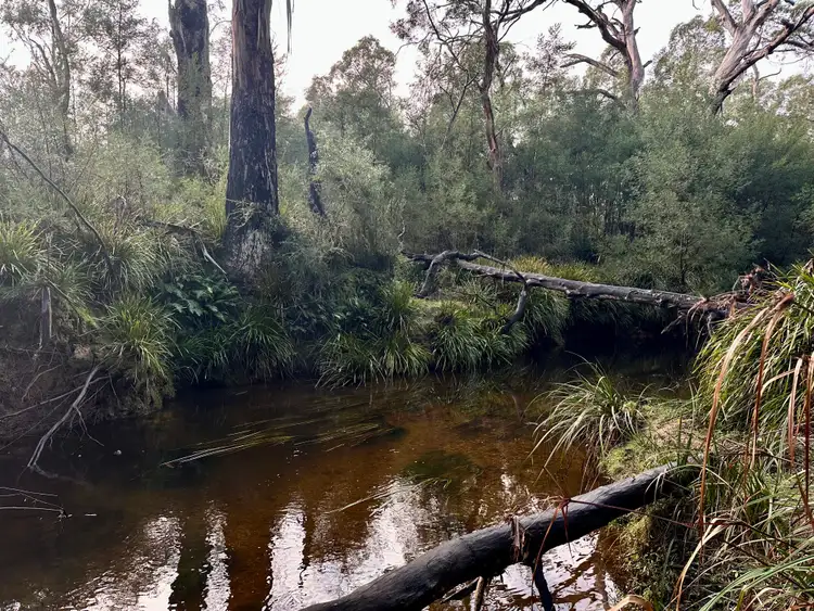 Second view of Homely rural property listing, 14 Ningee Nimbell Creek Road, Braidwood NSW 2622