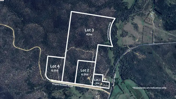 Sixth view of Homely rural property listing, 14 Ningee Nimbell Creek Road, Braidwood NSW 2622