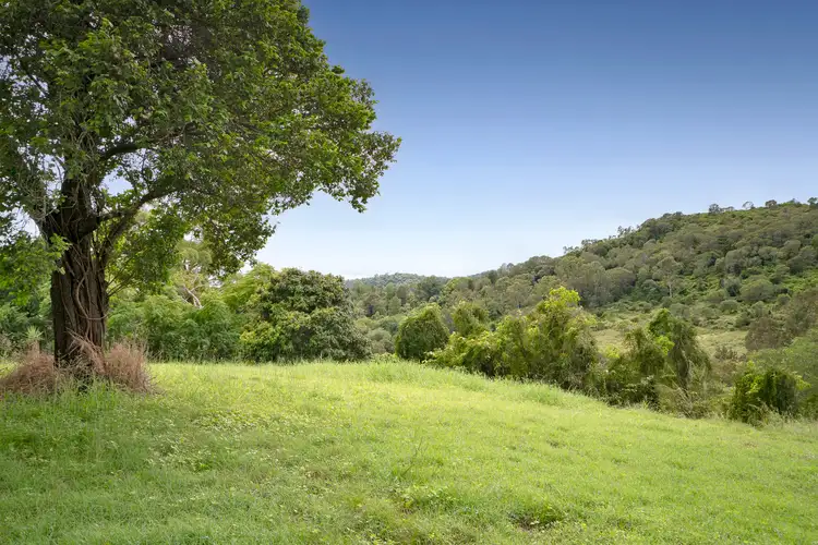Fifth view of Homely rural property listing, 111 Stokes Road, Pine Mountain QLD 4306