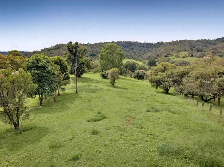 Seventh view of Homely rural property listing, 111 Stokes Road, Pine Mountain QLD 4306