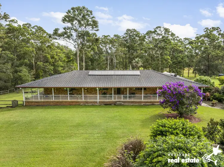 Third view of Homely rural property listing, 216 King Creek Road, King Creek NSW 2446