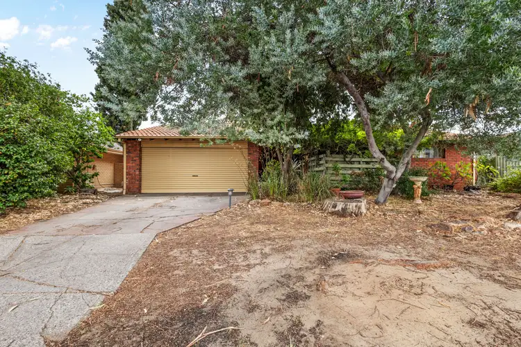 Fifth view of Homely house listing, 3 Nicholls Crescent, Bull Creek WA 6149