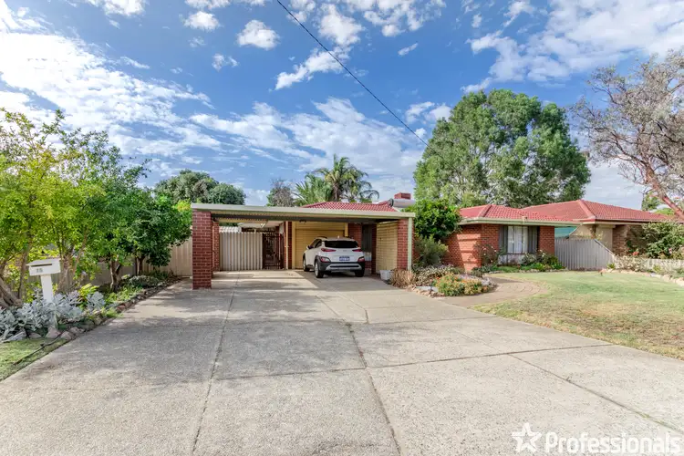 Main view of Homely house listing, 18 Sapling Way, Camillo WA 6111