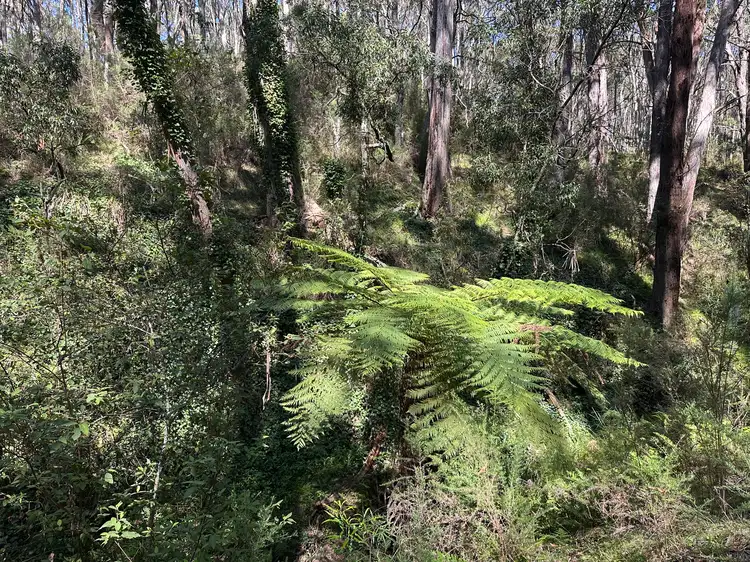 Sixth view of Homely rural property listing, 124 Gumms Road, Harolds Cross NSW 2622