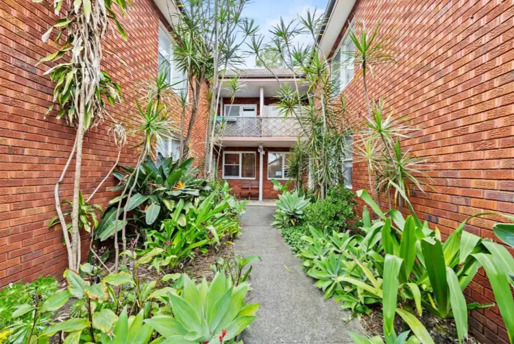 4/187 Fredrick st, Ashfield NSW 2131