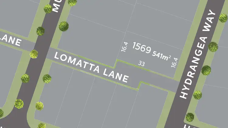 Lot 1569 Hydrangea Way, Mount Low QLD 4818