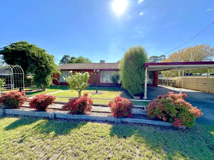 3 Chums Lane, Young NSW 2594