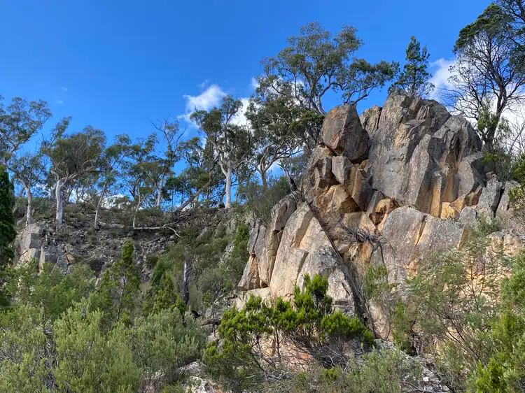 Sixth view of Homely rural property listing, 570 Bombay Road, Braidwood NSW 2622