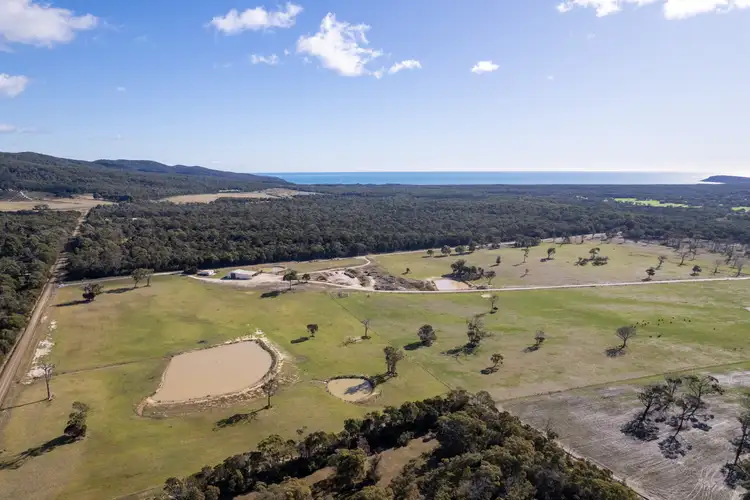 Fourth view of Homely land listing, 468 Badger Head Road, Badger Head TAS 7270