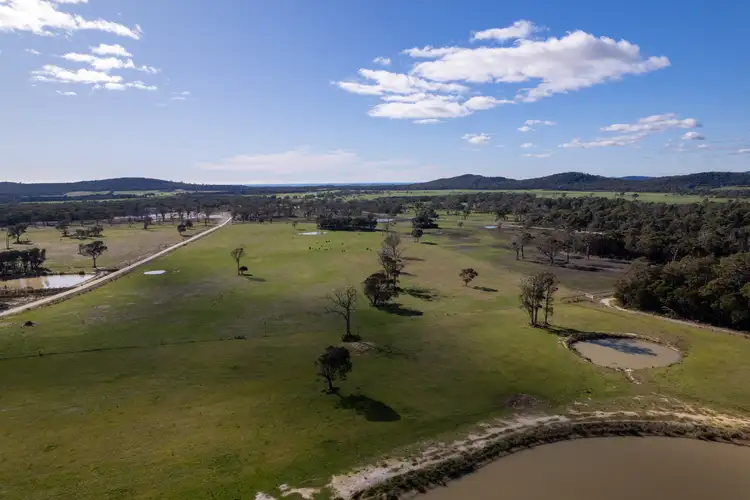 Fifth view of Homely land listing, 468 Badger Head Road, Badger Head TAS 7270