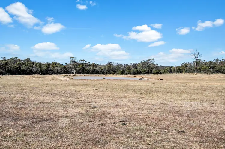 Seventh view of Homely land listing, 468 Badger Head, Badger Head TAS 7270