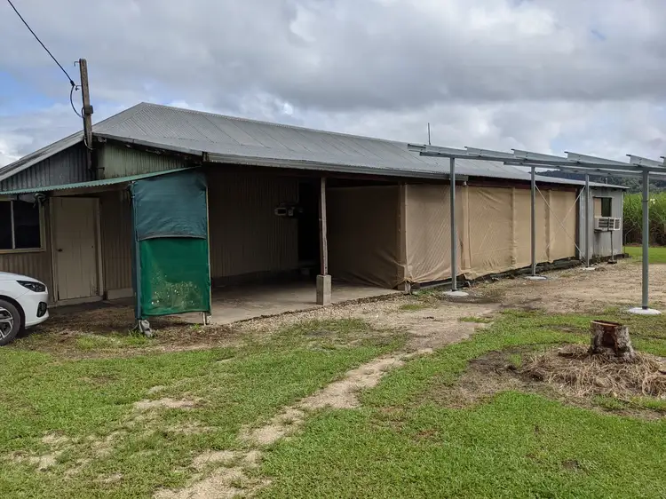 Main view of Homely house listing, 2/333 Miallo Bamboo Creek Road, Whyanbeel QLD 4873