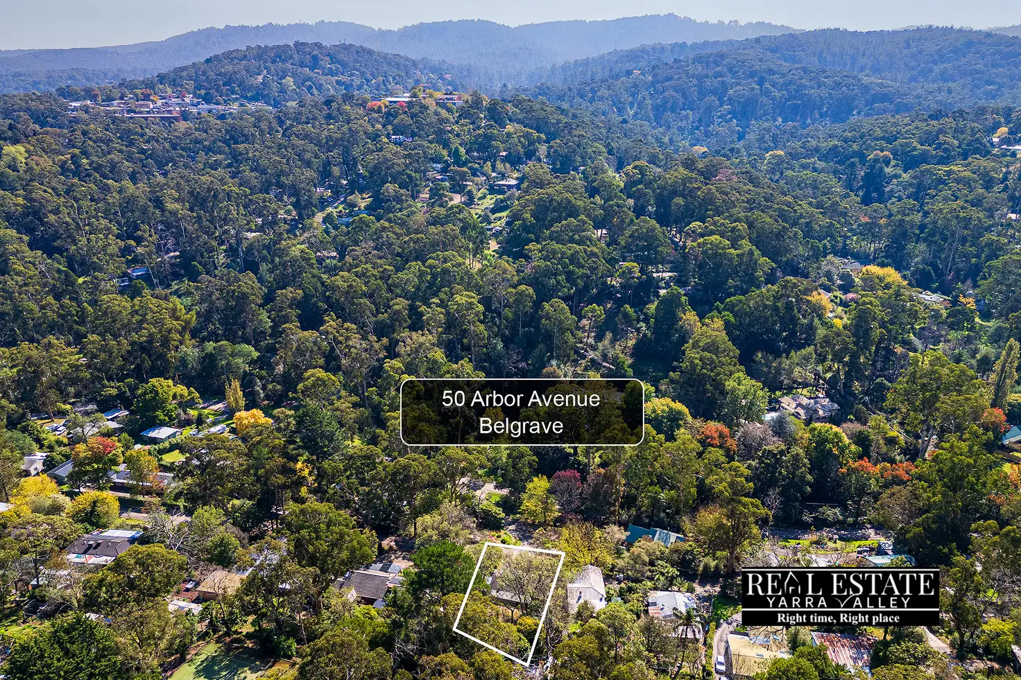 Main view of Homely house listing, 50 Arbor Avenue, Belgrave VIC 3160