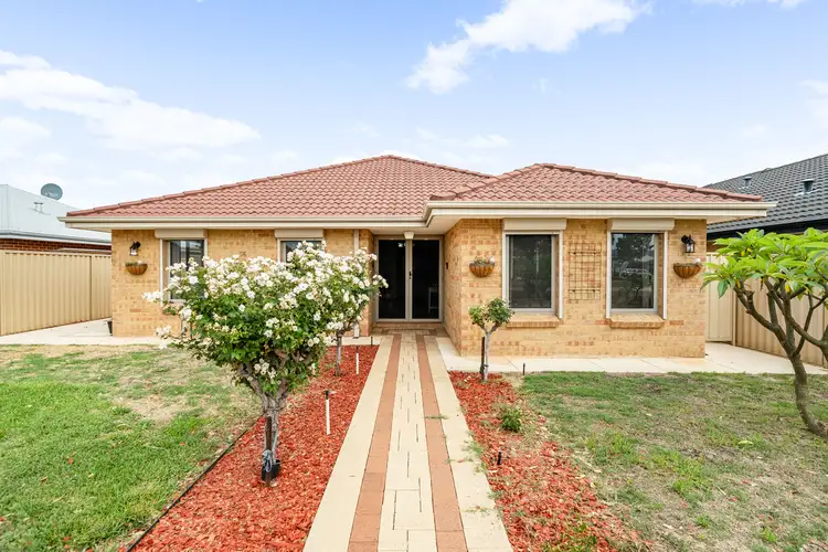 56 Kardan Boulevard