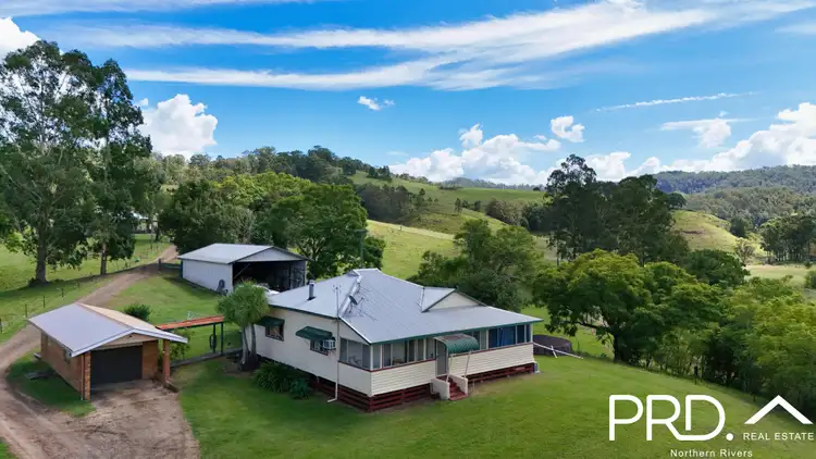 Third view of Homely rural property listing, 273 Ferndale Rd, Kyogle NSW 2474
