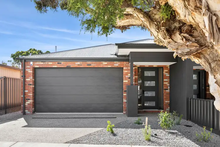 Main view of Homely house listing, 56B Itkeston Street, Herne Hill VIC 3218