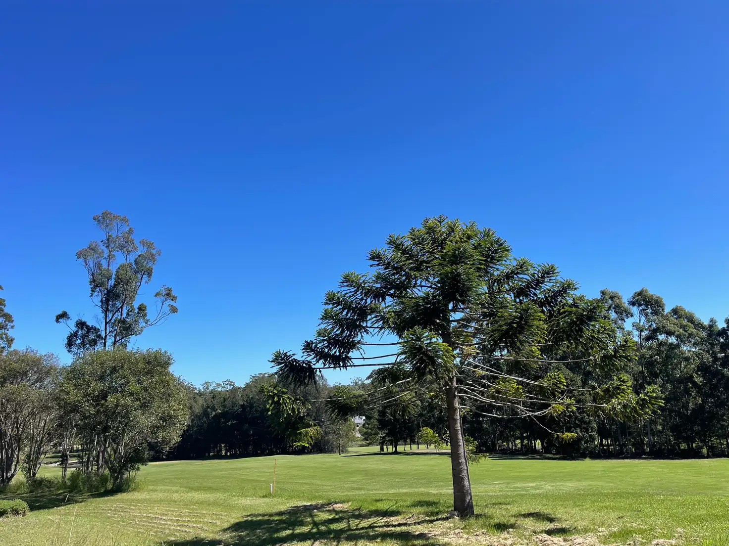 Main view of Homely land listing, 1 Golden Wattle Way, Tallwoods Village NSW 2430