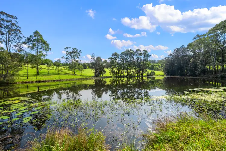 53A Vincents Road, Kurrajong NSW 2758