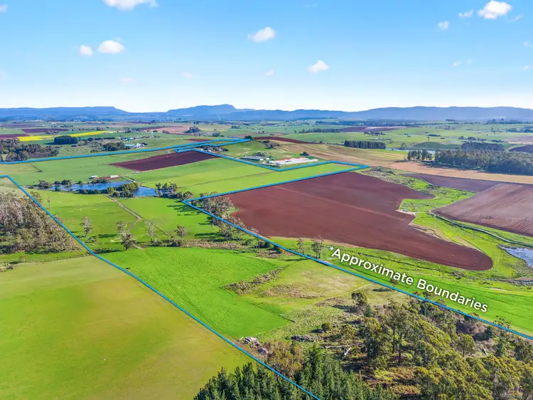 Second view of Homely rural property listing, 449 Chapel Road, Sassafras TAS 7307