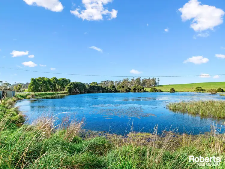 Fourth view of Homely rural property listing, 449 Chapel Road, Sassafras TAS 7307