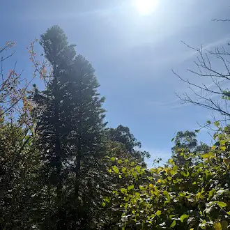 Fifth view of Homely house listing, 21 Mort Street, Vale of Clwydd NSW 2790