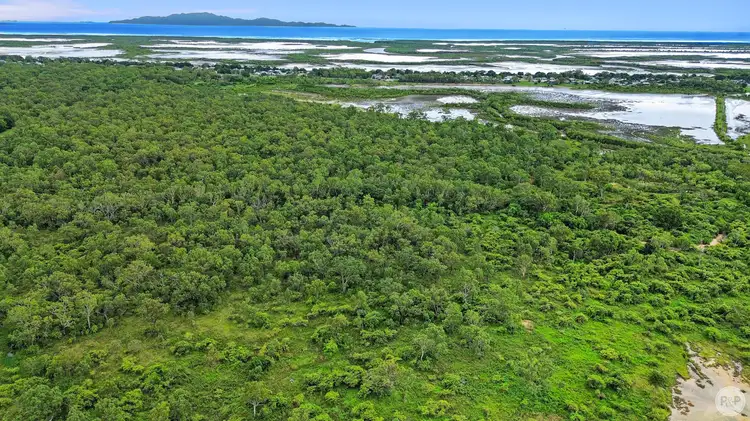 Main view of Homely rural property listing, 602 Bentley Drive, Nome QLD 4816