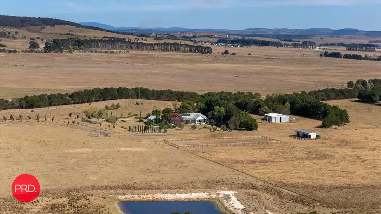 Fourth view of Homely rural property listing, 137 Leahys Lane, Lake Bathurst NSW 2580