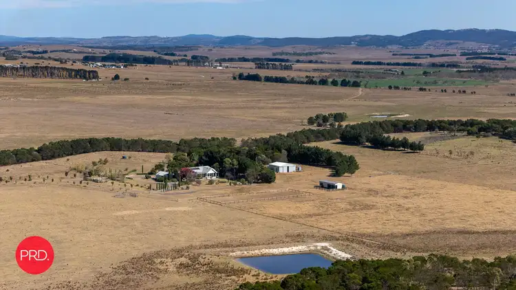 Fifth view of Homely rural property listing, 137 Leahys Lane, Lake Bathurst NSW 2580