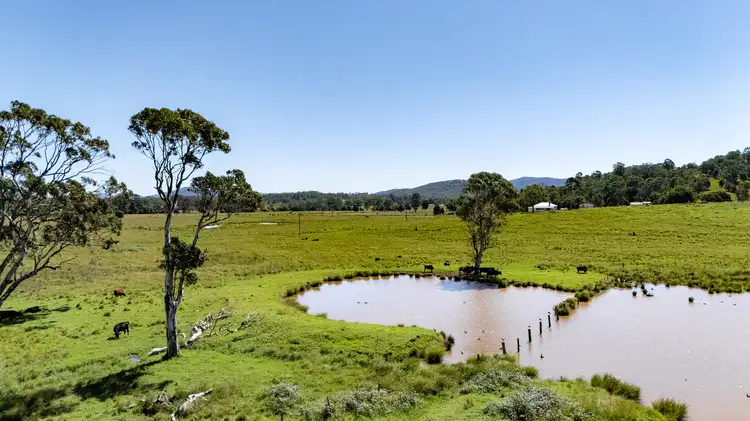 Second view of Homely rural property listing, 107 Avery Lane, Dyers Crossing NSW 2429