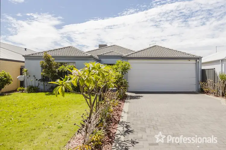 53 Teasel Way, Banksia Grove WA 6031
