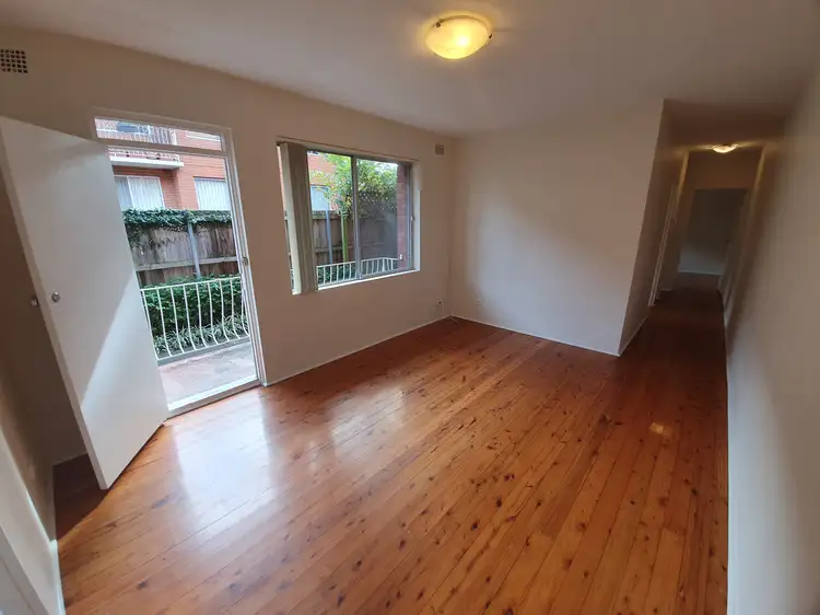 Second view of Homely unit listing, 2/24 Barnsbury Grove, Dulwich Hill NSW 2203
