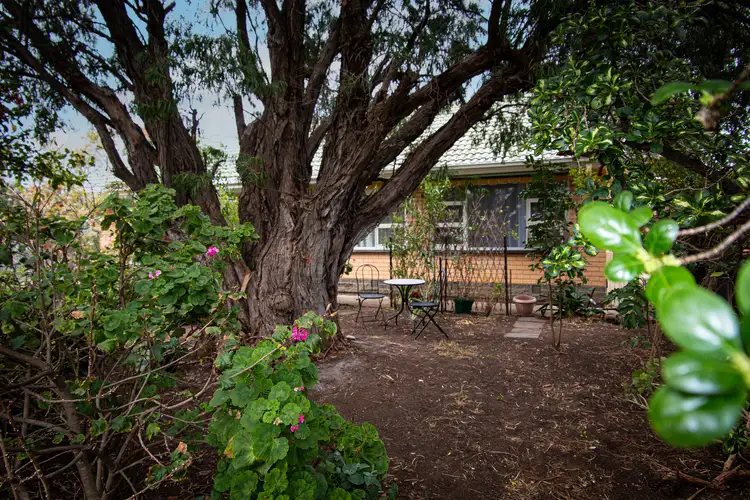 10 Erin Street, Christies Beach SA 5165